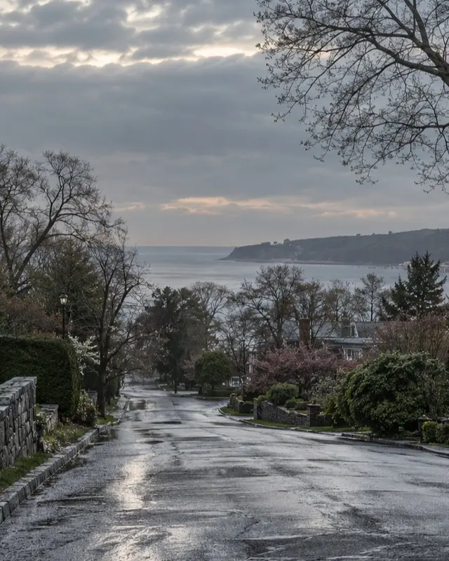 Huntington north-shore residential street after rain, closer residential view