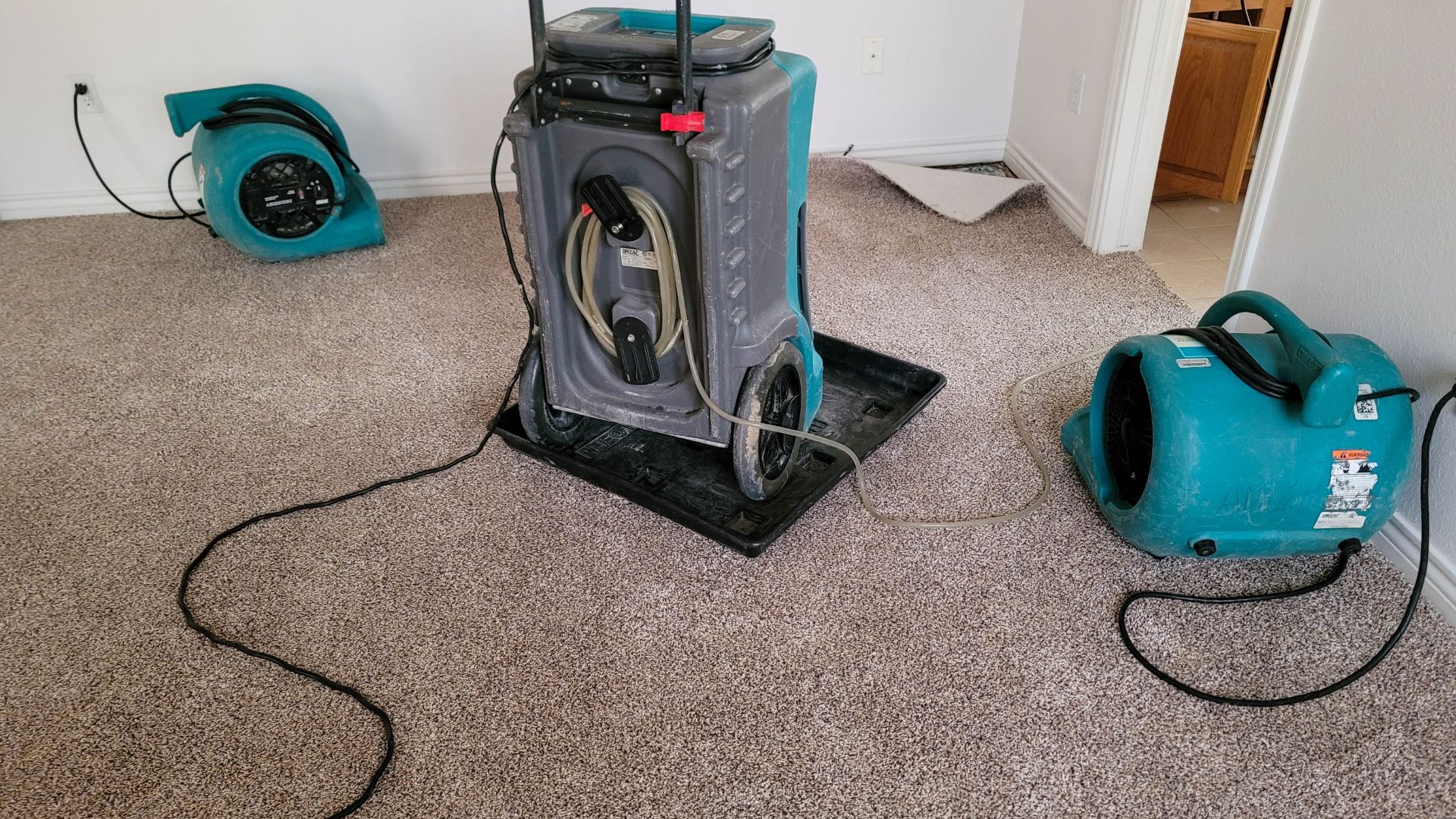 A vacuum and a blow dryer in a room