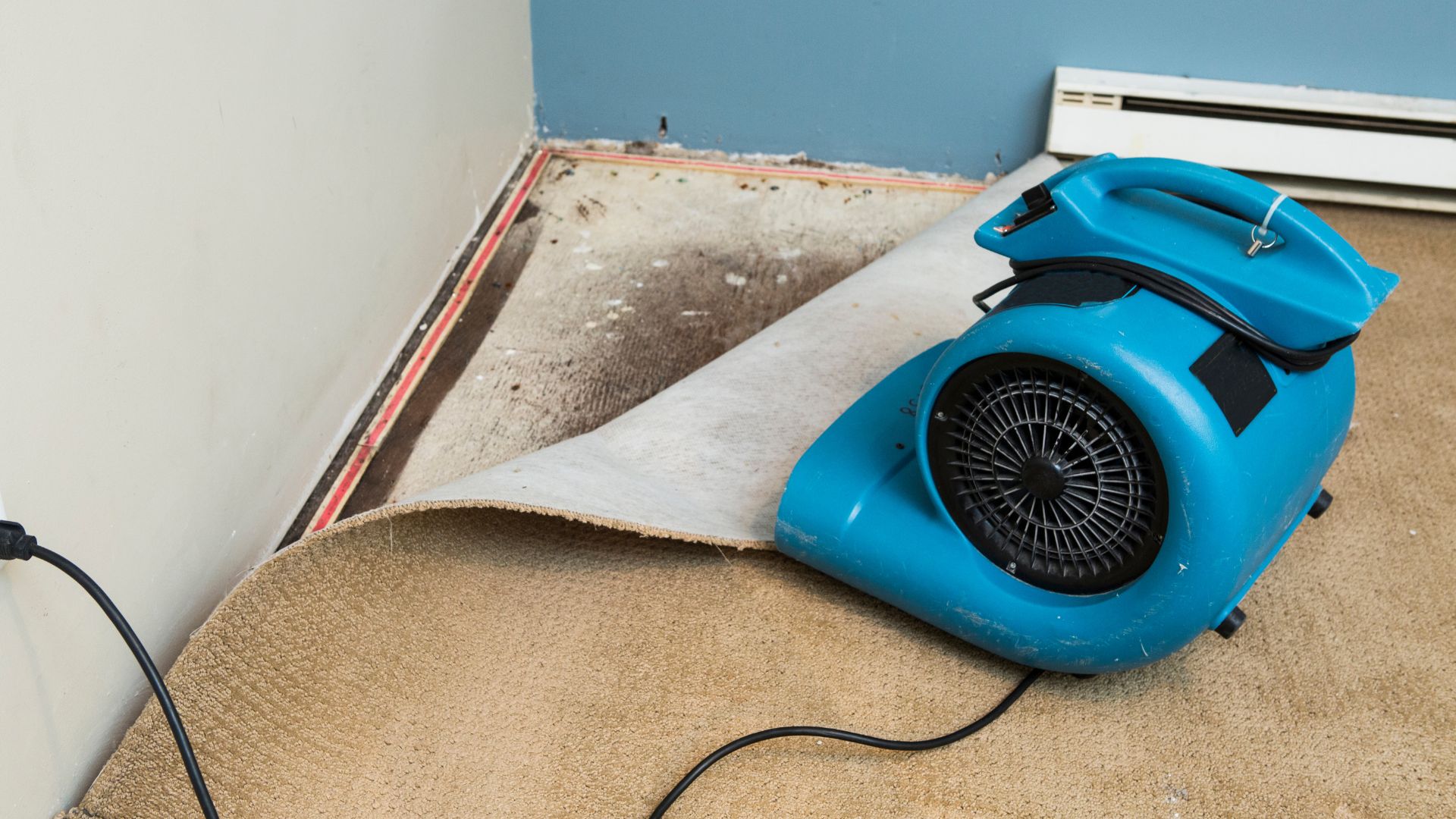 A blue blower sitting on top of a rug next to a wall